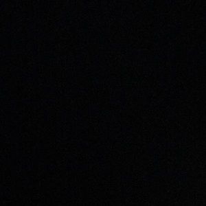 Meet your Posher, Gracie